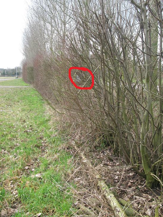 #41268 - waar stond die P nou