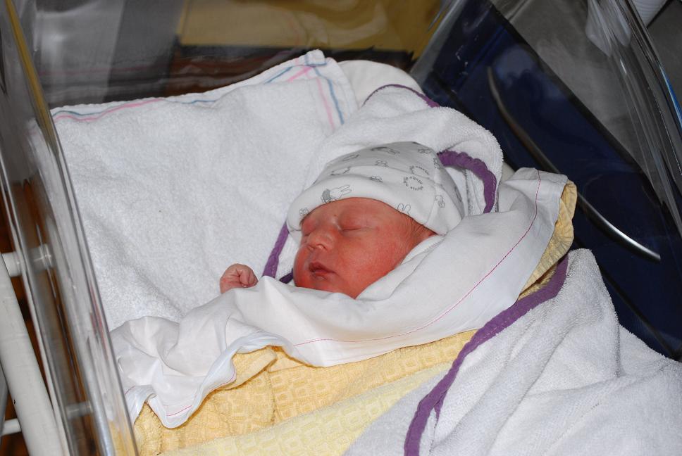 #41369 - Hallo wereld