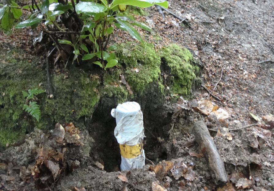 #43212 - Uitgegraven