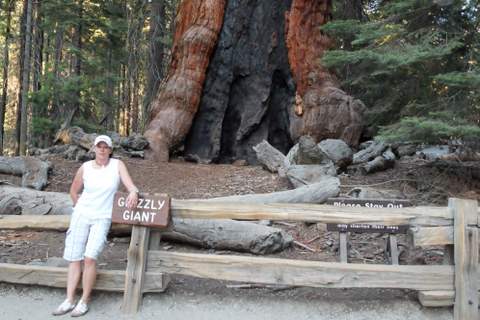 #45332 - Hunt 65 hint 1