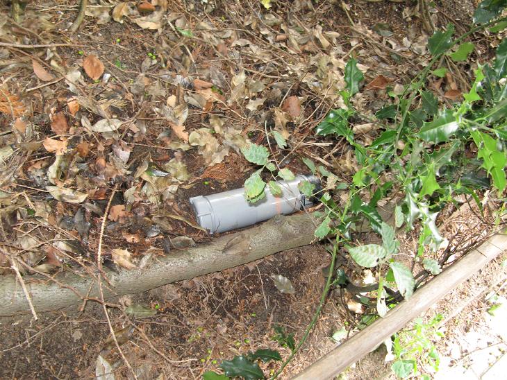 #48548 - hij heeft weer een plek