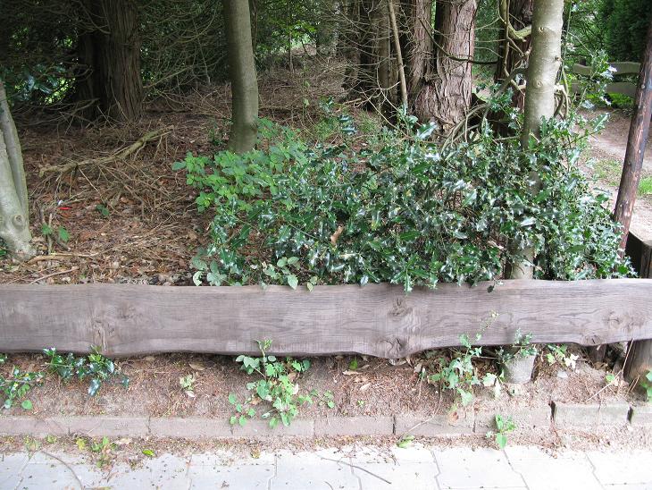 #48549 - zoek en gij zult vinden