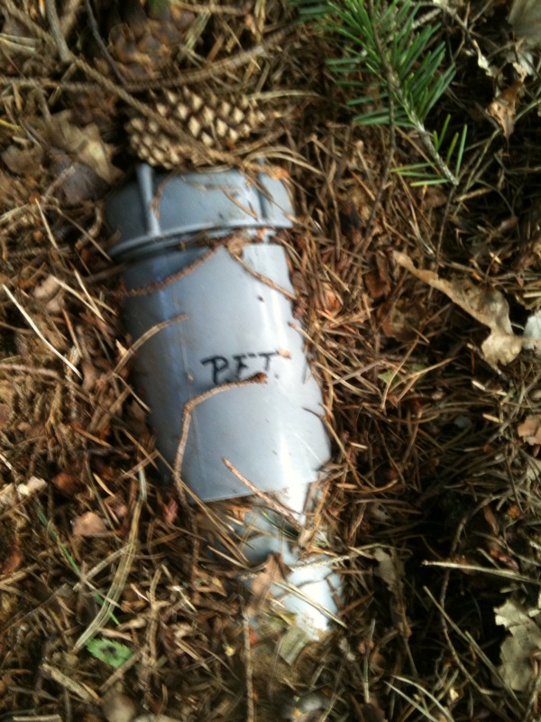 #48715 - Porscheforum trofee. Hunt 70