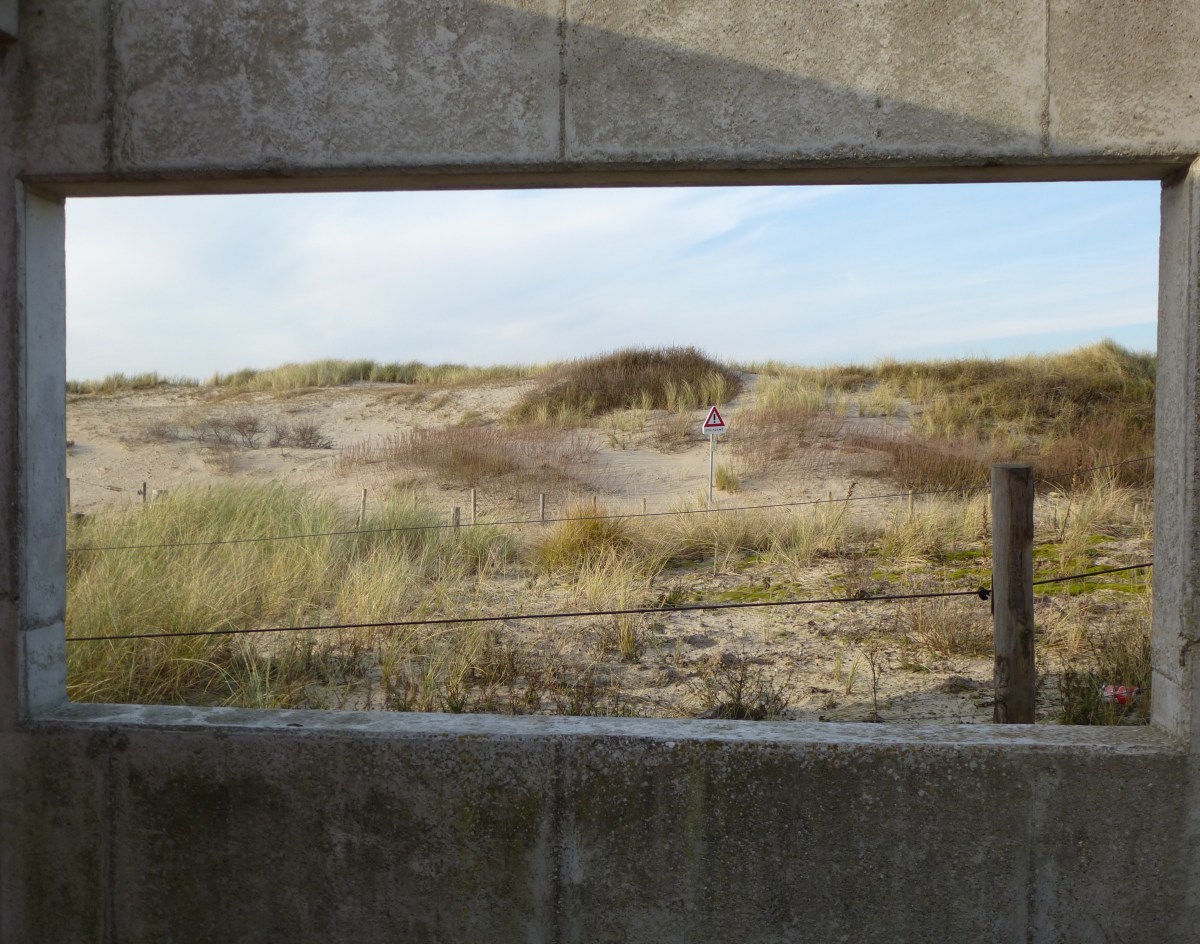 #56638 - Vindplaats hint