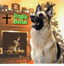 #56899 - PFT 78 Hint1