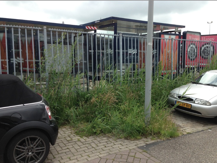 #58456 - pft #84 vindplaats 2