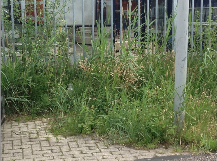 #58457 - pft #84 vindplaats 3