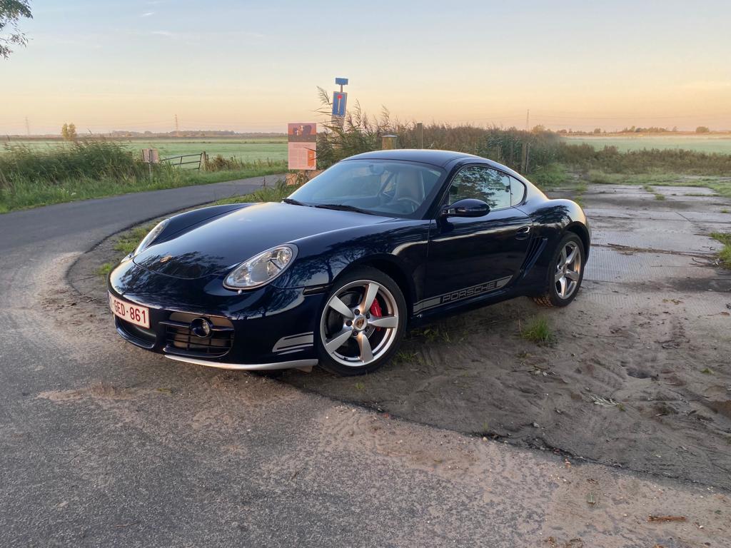 #81092 - blue cayman