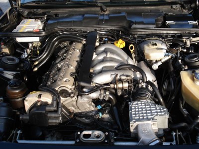 1307007668Nvannalles_024.jpg (106.61 KiB) 3882 keer bekeken 1307007668Nvannalles_024.jpg