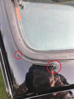 plekje_achterraam.jpg (202.89 KiB) 13095 keer bekeken plekje_achterraam.jpg